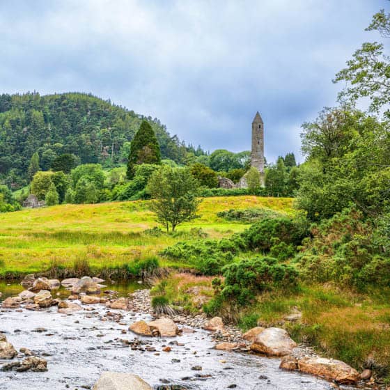 Events in Wicklow & things to do Fever