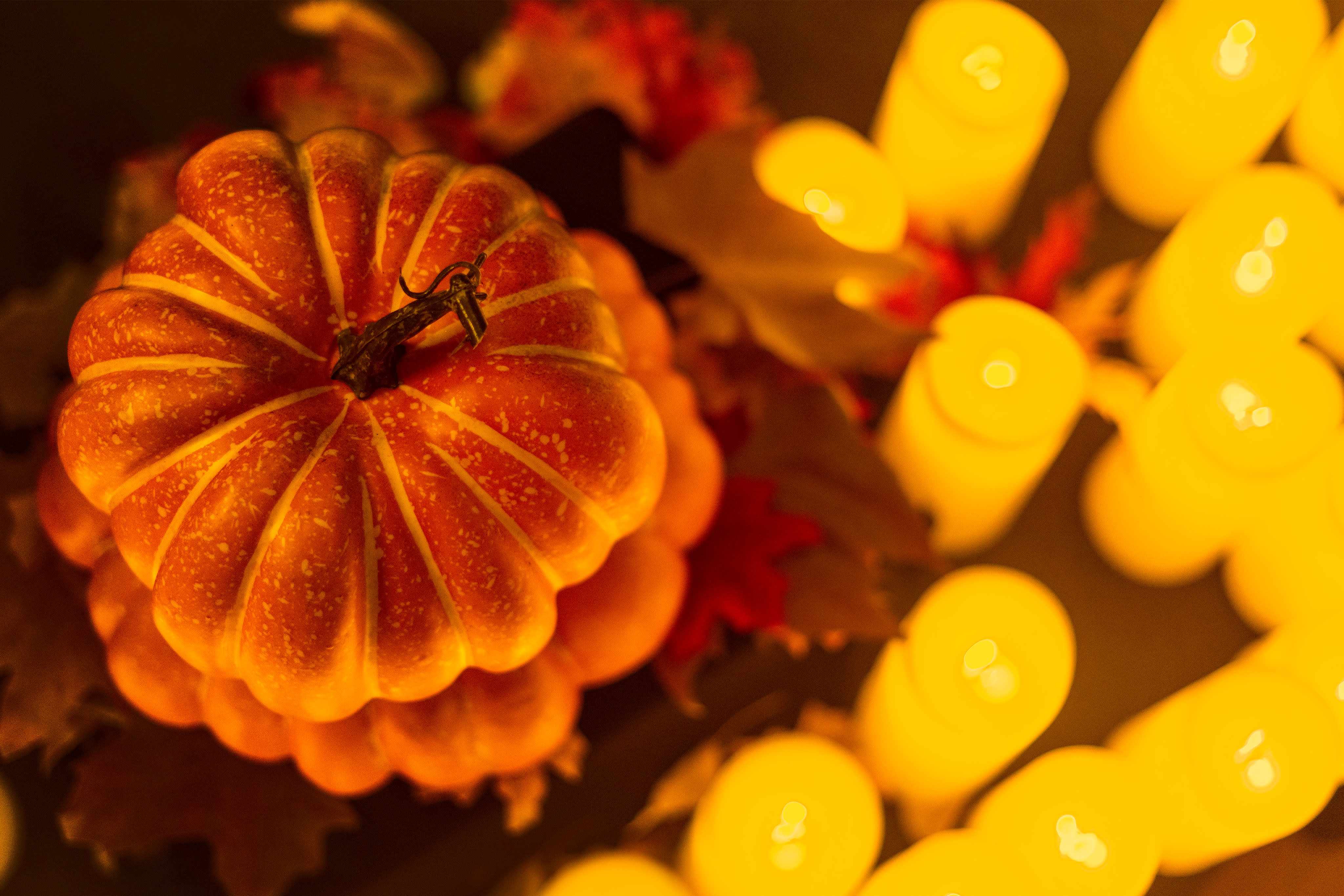 Candlelight Halloween Concerts 2024 In Green Bay Fever
