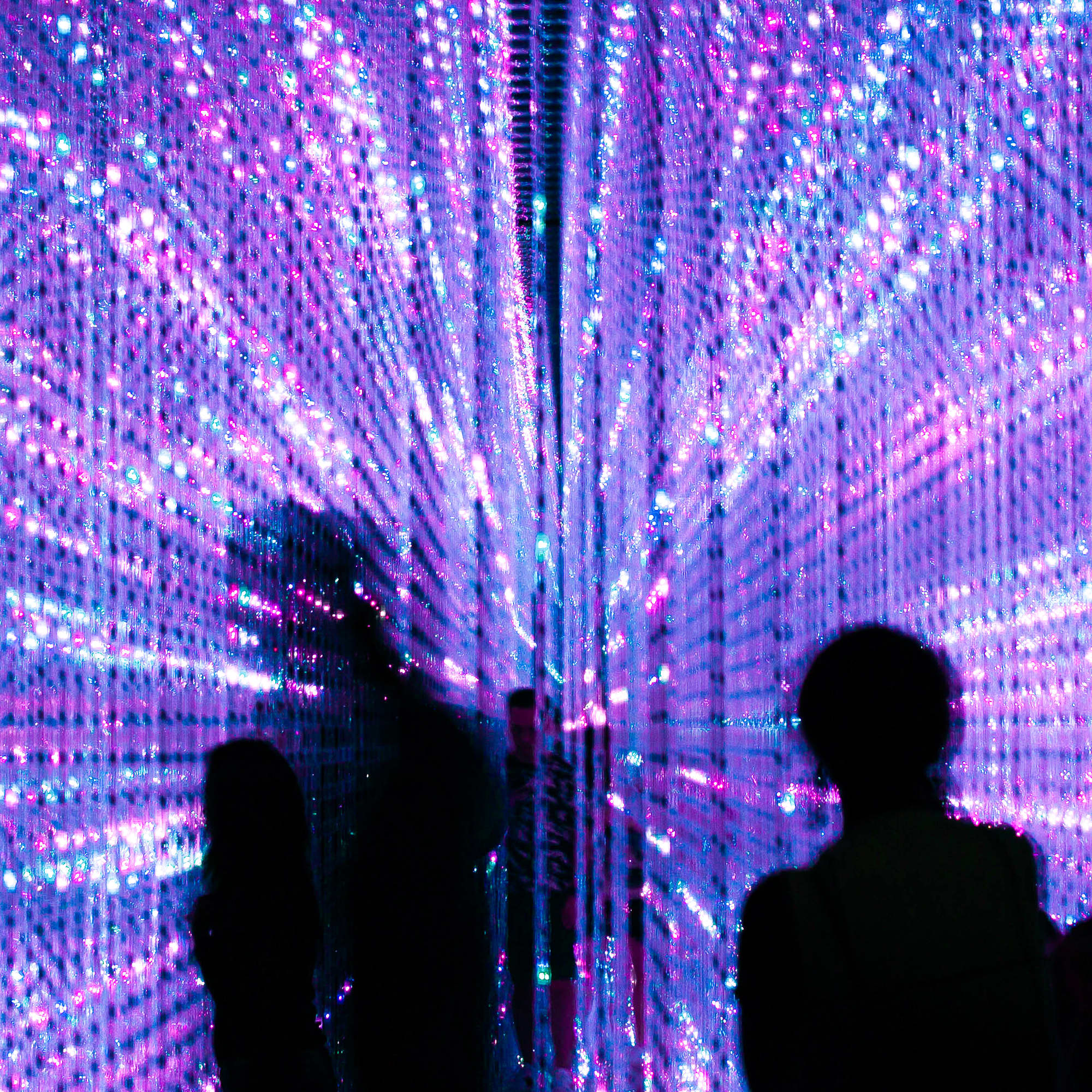 Mirror Mirror: Journey Into the Mind