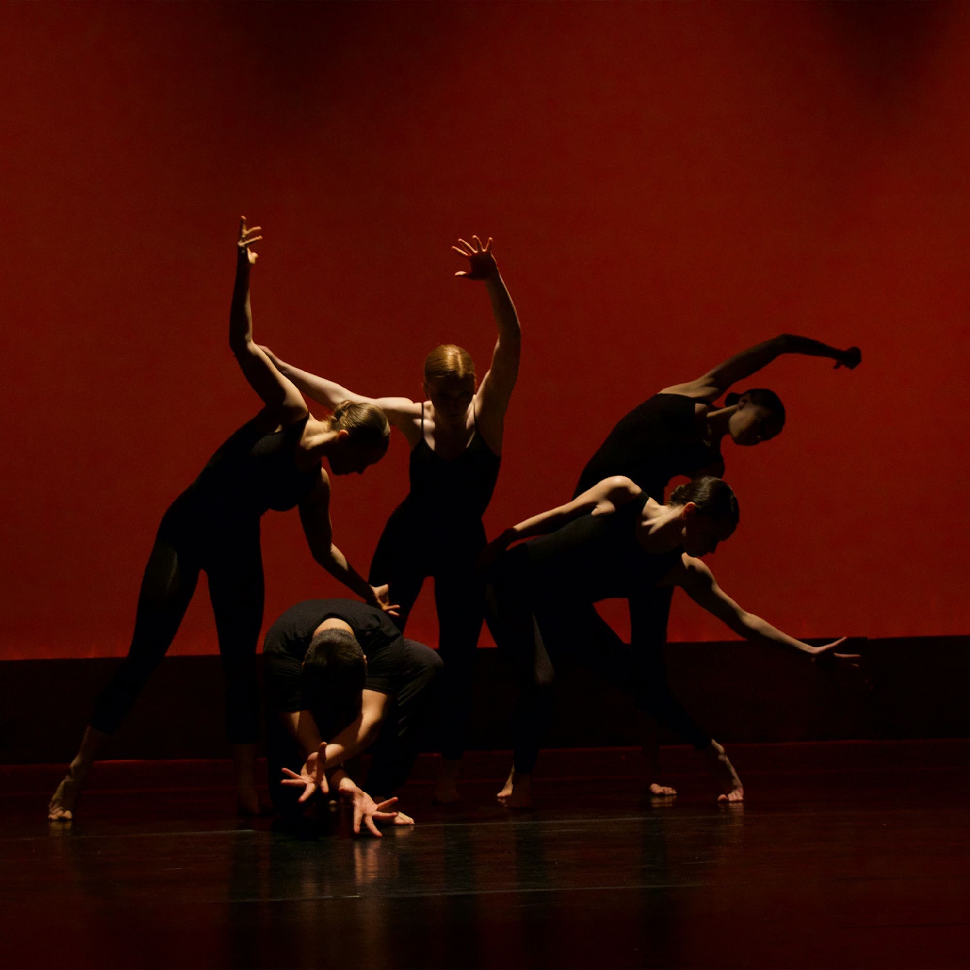 Spectacles de danse.