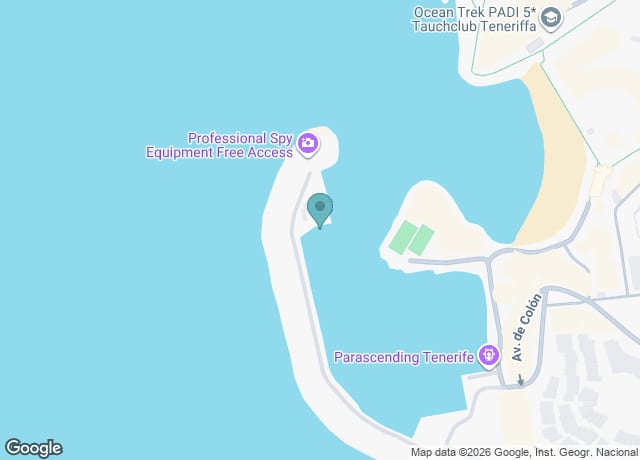 Cruceros en Los Cristianos