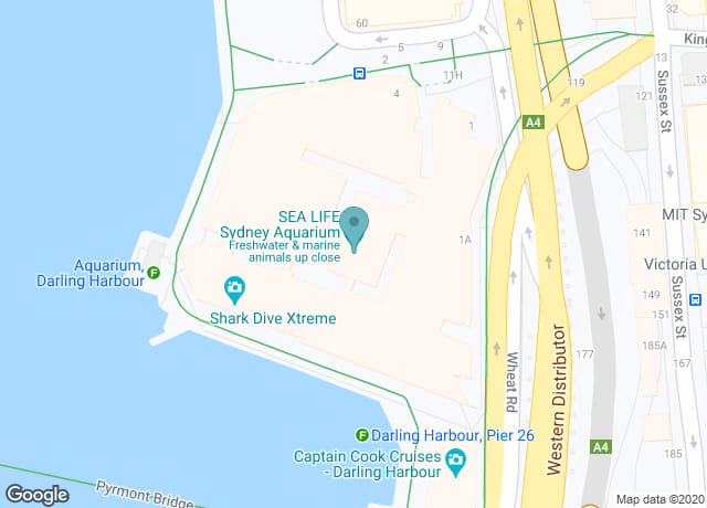 Seattle Aquarium Sydney
