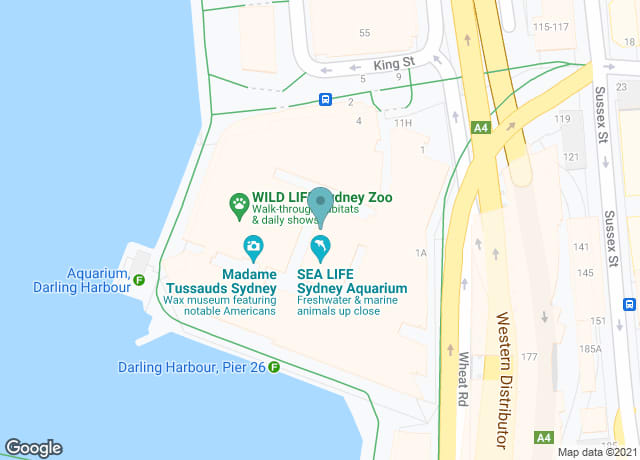 Sealife Aquarium Sydney