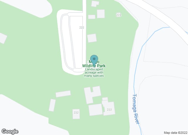 Mogo Wildlife Park