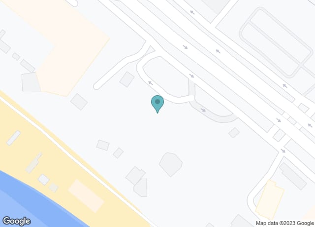 Wane Palm Dubai