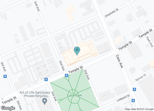 The Detroit Masonic Temple