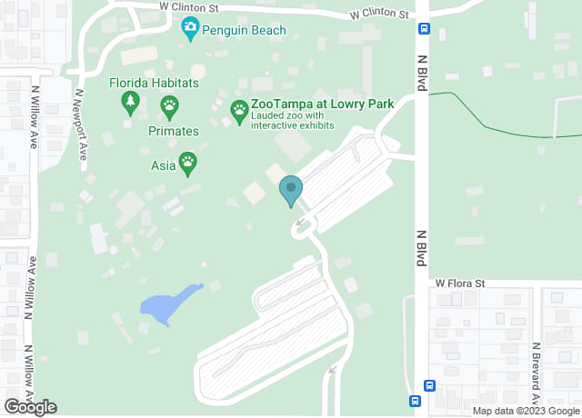 Tampa’s Lowry Park Zoo