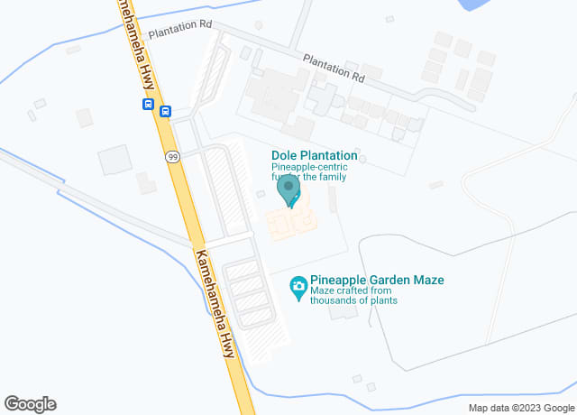 Dole Plantation