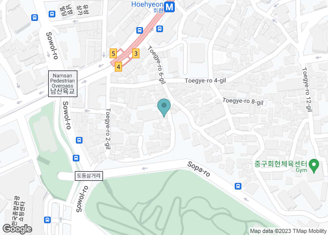 갤러리 피그먼트