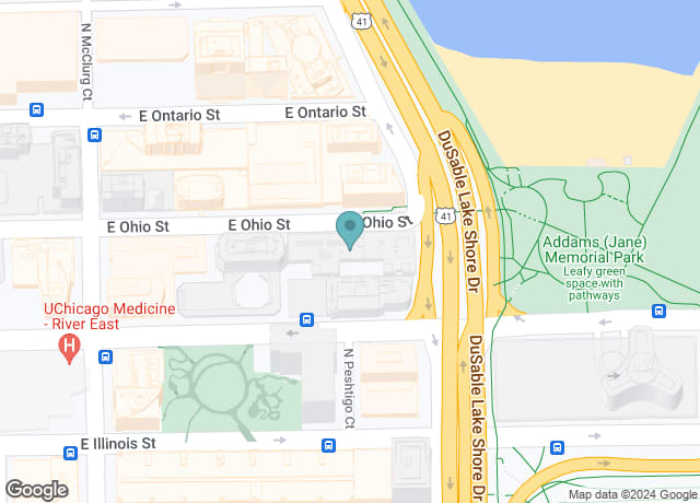 540 N Lakeshore Dr Condo