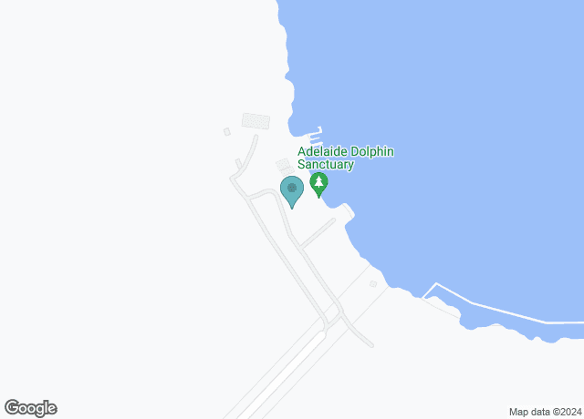 Adventure Kayaking SA| Port River Dolphins