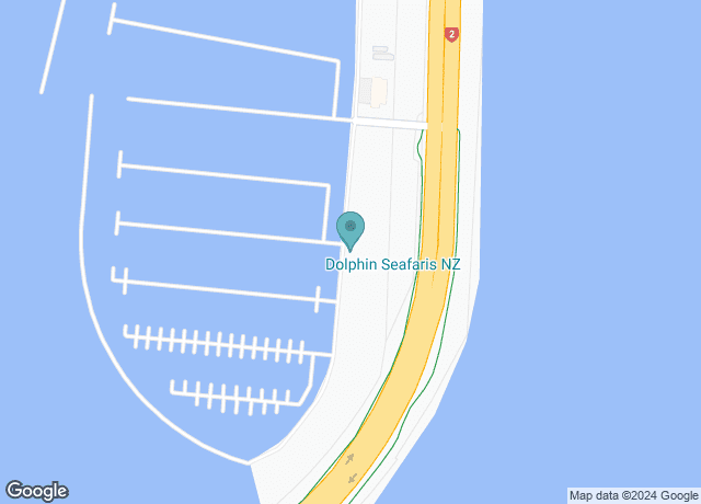 Dolphin Seafaris NZ Ltd