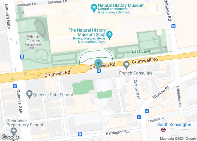 Natural History Museum / Cromwell Road (Stop H)