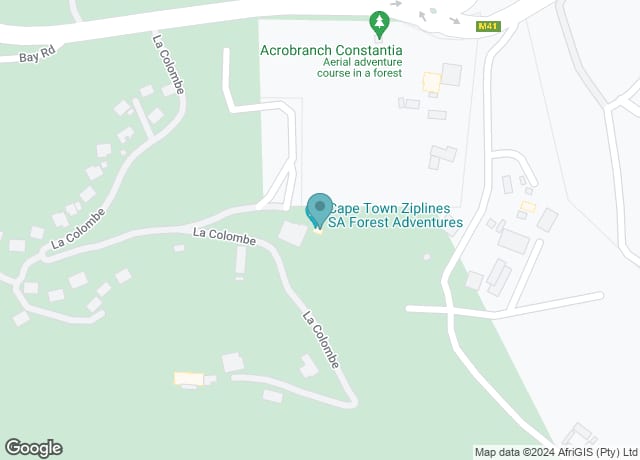 Cape Town Ziplines SA Forest Adventures