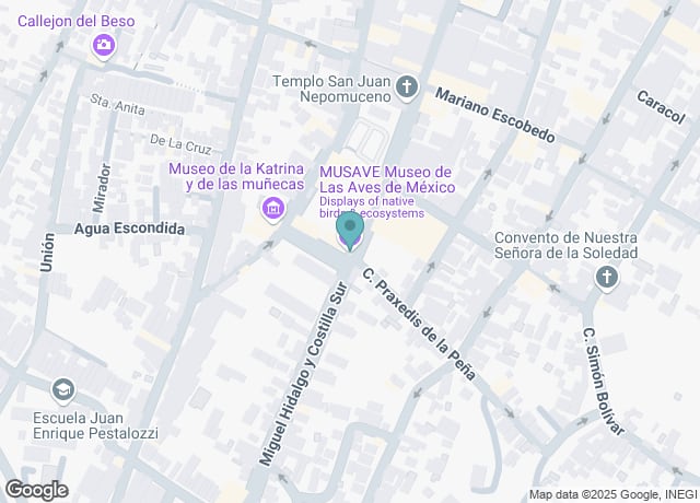 MUSAVE Museo de Las Aves de México