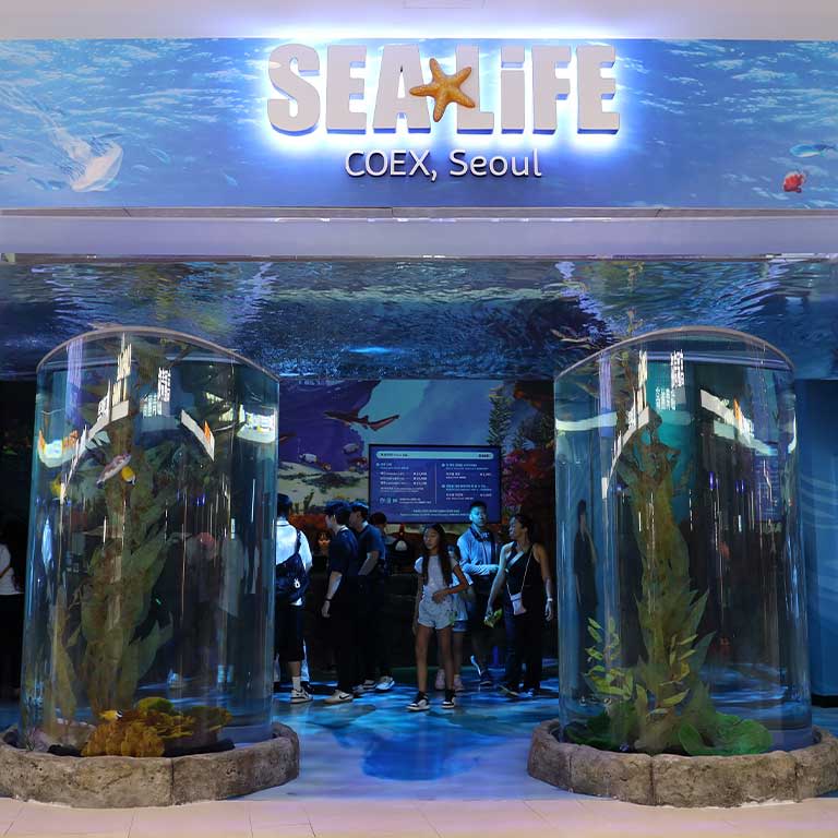 SEA LIFE COEX, Seoul Aquarium Official Tickets 2