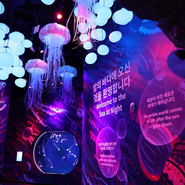 SEA LIFE COEX, Seoul Aquarium Official Tickets 3