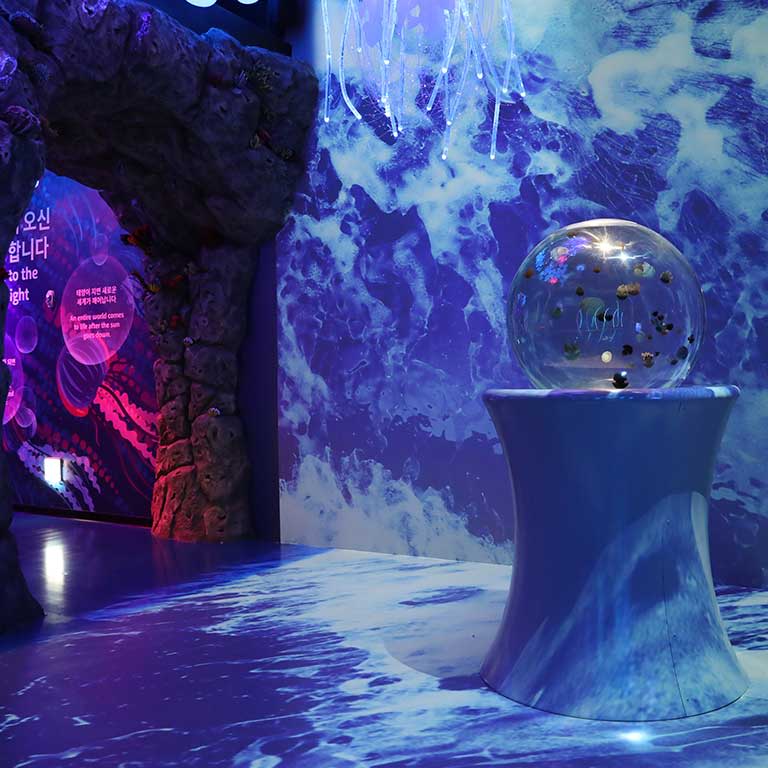 SEA LIFE COEX, Seoul Aquarium Official Tickets 4