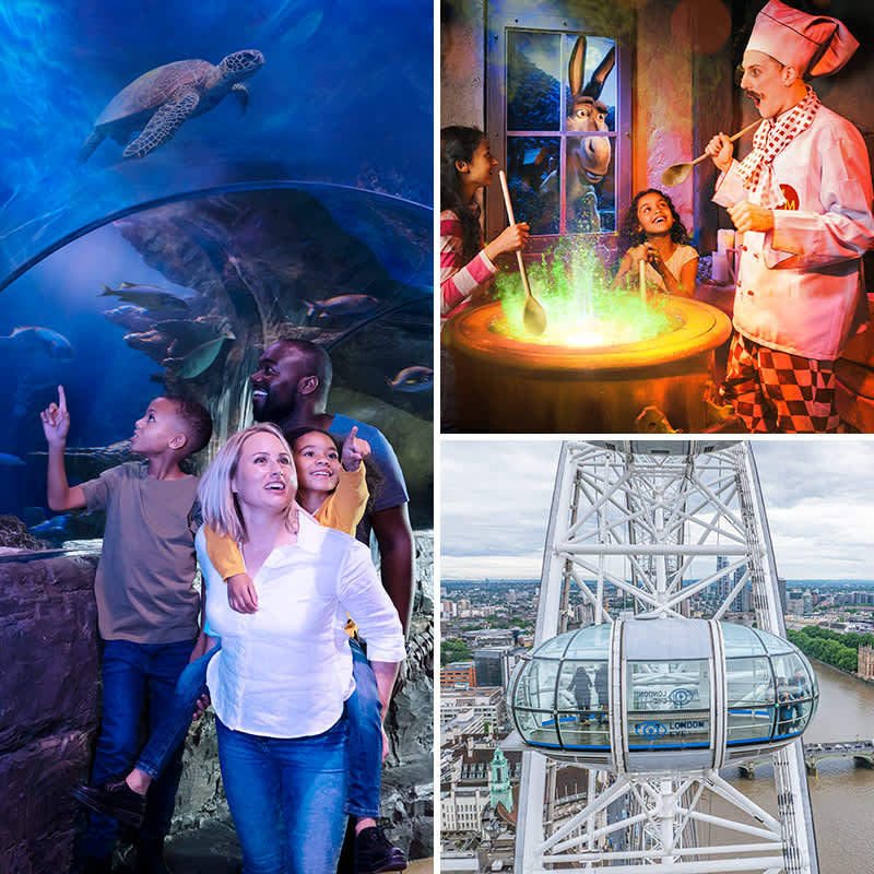 SEA LIFE Aquarium, London Eye & Shrek's Adventure-