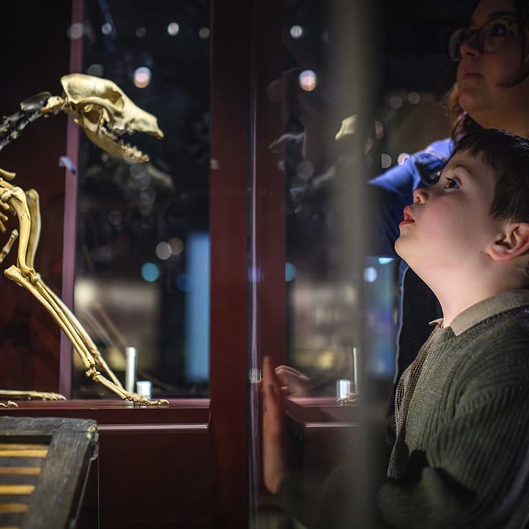 Portsmouth Historic Dockyard - Mary Rose Museum Portsmouth Historic Dockyard - Mary Rose Museum 4