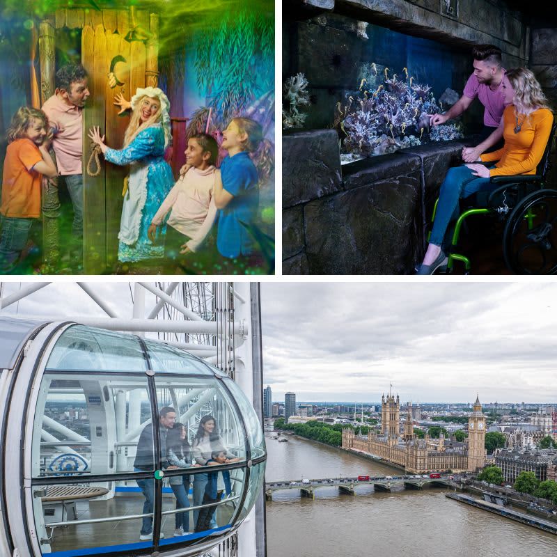 Shrek's Adventure, London Eye & SEA LIFE Aquarium-