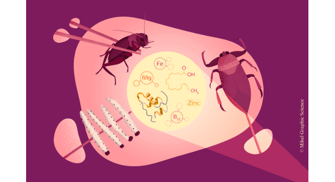 ¿Comeremos insectos en los platos gourmet del futuro? ¿Comeremos insectos en los platos gourmet del futuro? 1