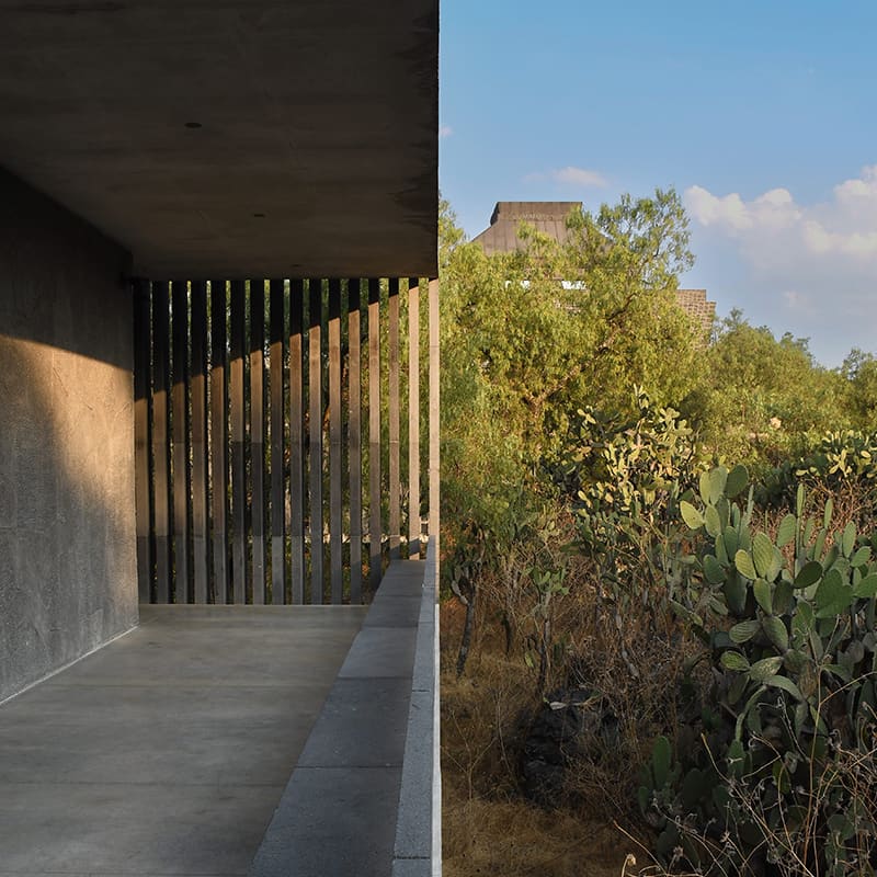 Ruta Frida y Diego Image 3