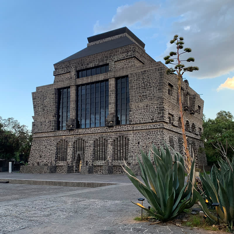 Ruta Frida y Diego Image 5