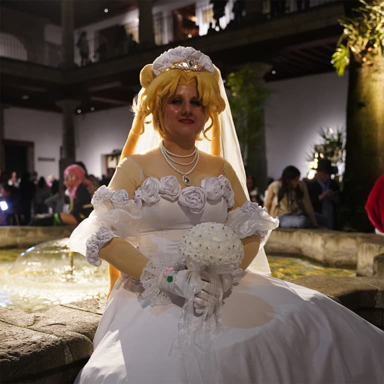 Sailor Roller | Noche del Franz Sailor Roller | Noche del Franz 2