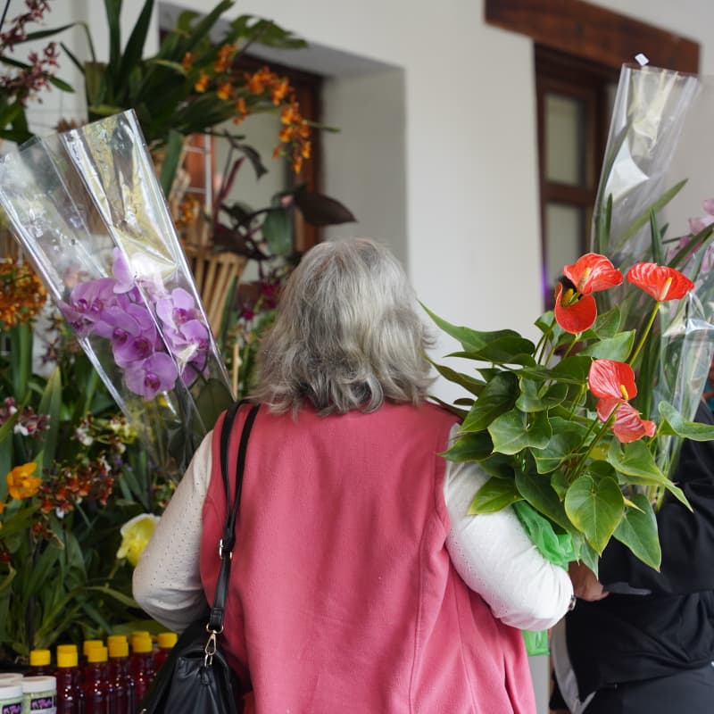 Orquídeas de otoño | Expo-venta Image 2