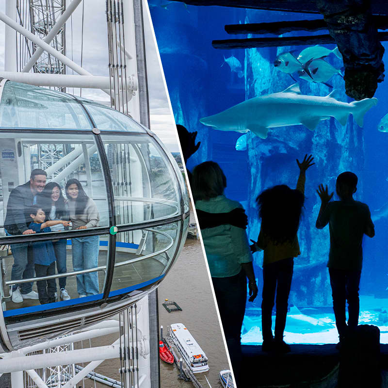 SEA LIFE Aquarium & London Eye-