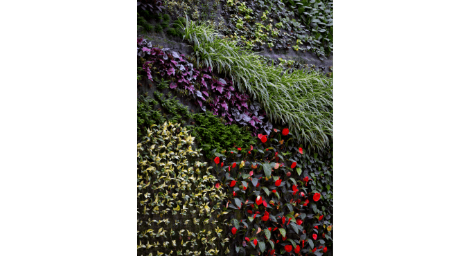 Visita-taller familiar: Mirades ordenades (+8) 1