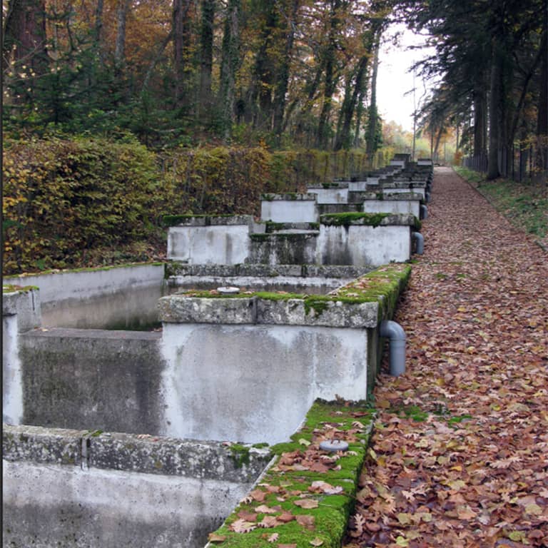 Visite guidée de la pisciculture de La Granja de San Ildefonso 1