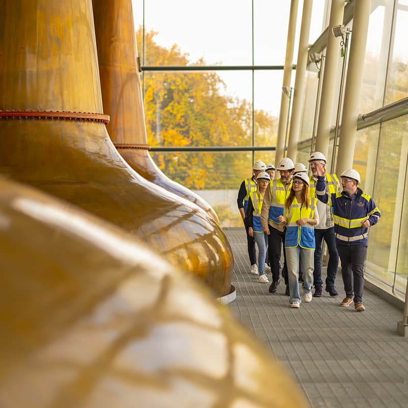 Whiskey Distiller’s Apprentice Tour 6