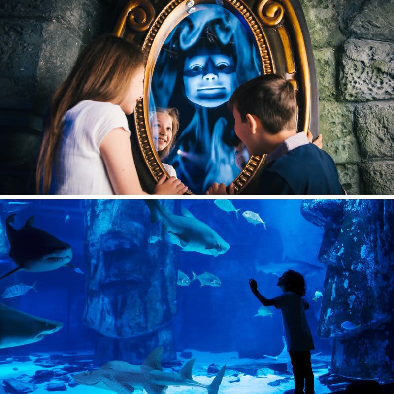 Shrek's Adventure! London + SEA LIFE London Aquarium-