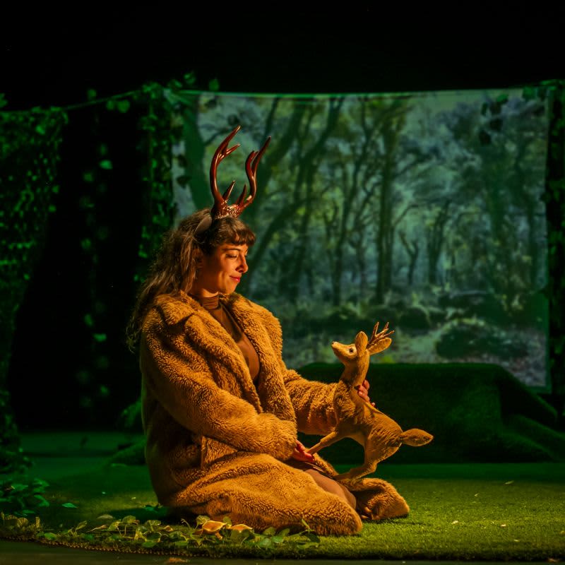 Vamos al Teatro Navidad 2026 2