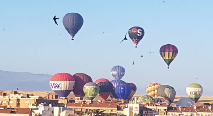 Festival de Globos 2026. Desayuno en el Hotel Real Segovia Festival de Globos 2026. Desayuno en el Hotel Real Segovia 3