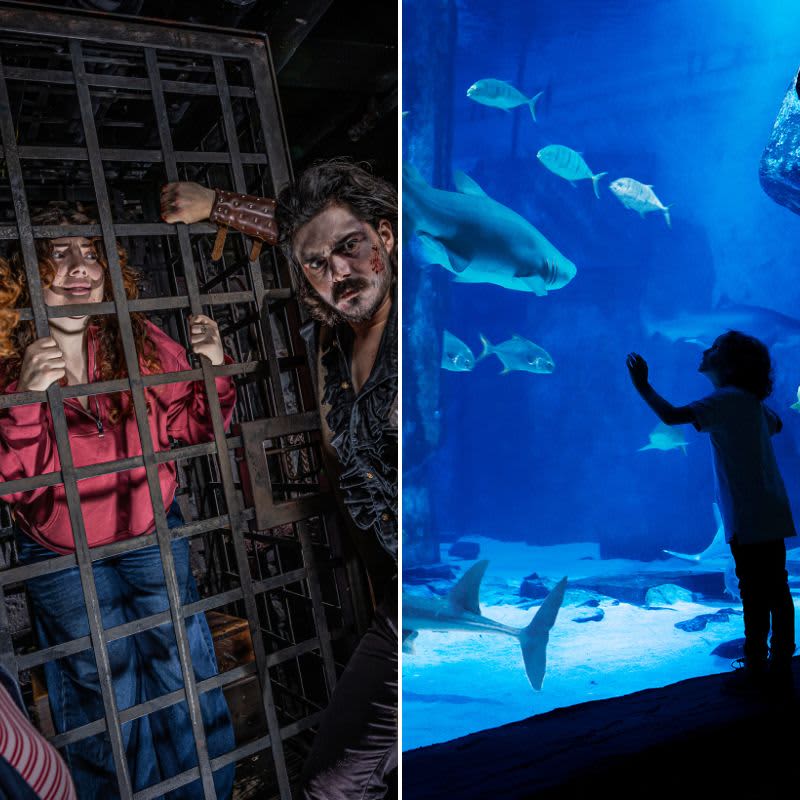 London Dungeon & SEA LIFE Aquarium-