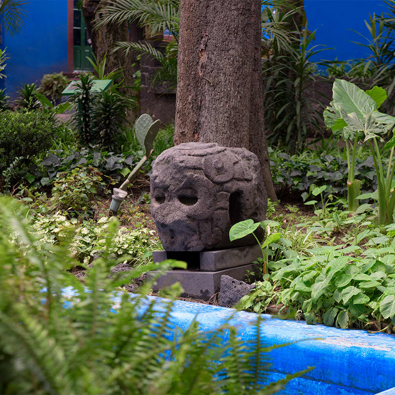 Museo Frida Kahlo "Casa Azul" 8