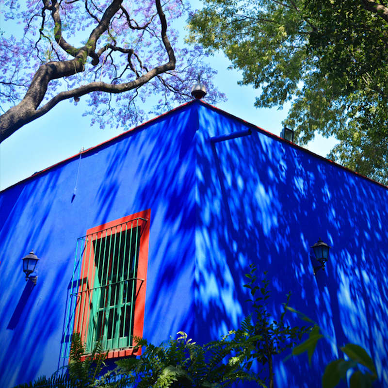 Museo Frida Kahlo "Casa Azul" 5