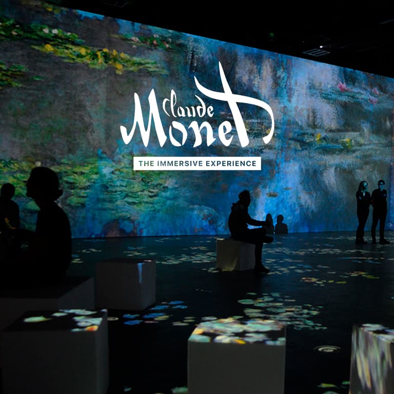 Immersive Monet cheapest Poster nwt