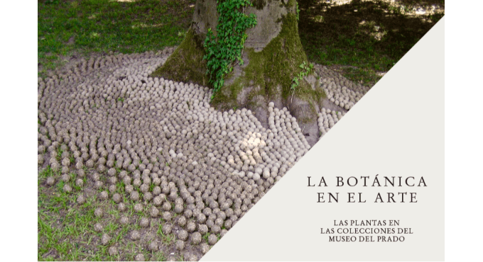 Instalación participativa con Lluís Sabadell 1