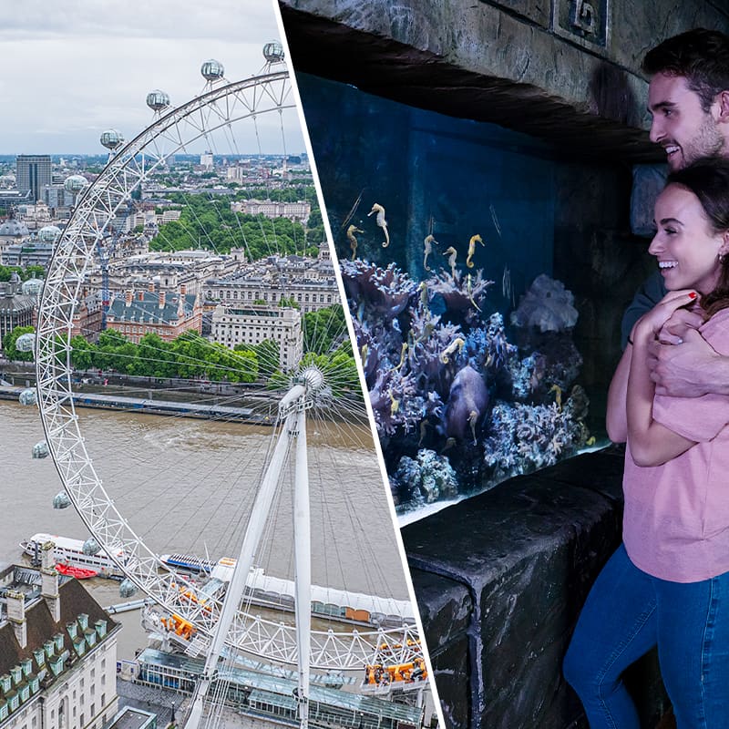 London Eye & SEA LIFE London Aquarium-