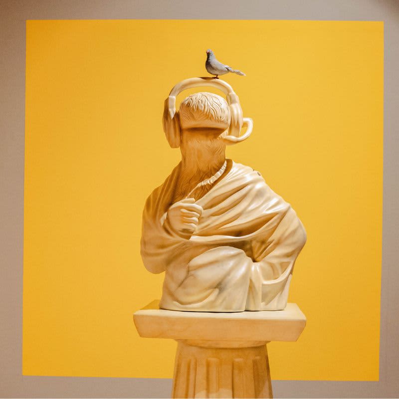 Museo 31 Image 4