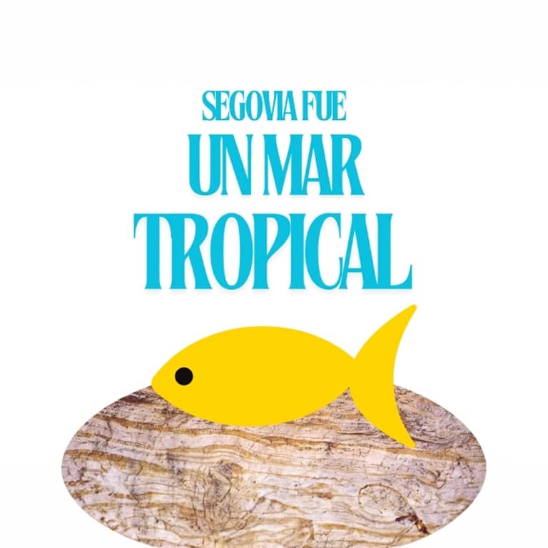 Domingos de cuento: Segovia fue un mar tropical 2