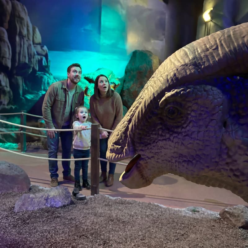 Vale dos Dinossauros 3