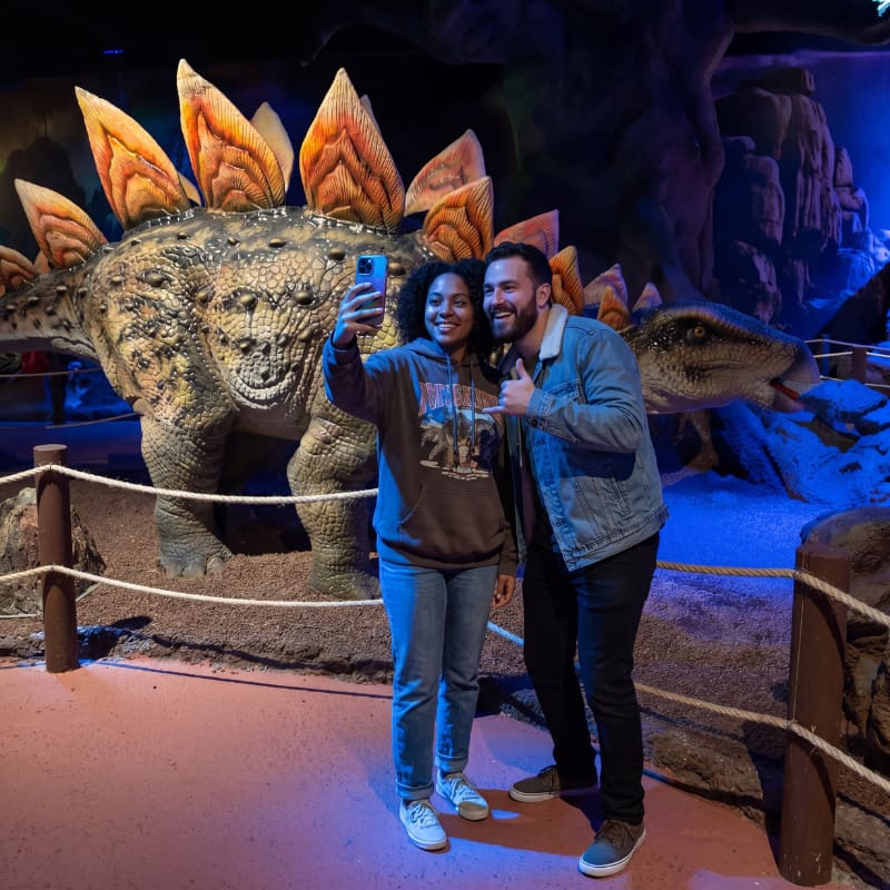Vale dos Dinossauros 4