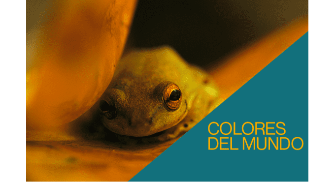 Visita comentada: Colores del mundo 1