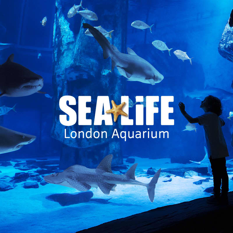 SEA LIFE London Aquarium: Deluxe Package-