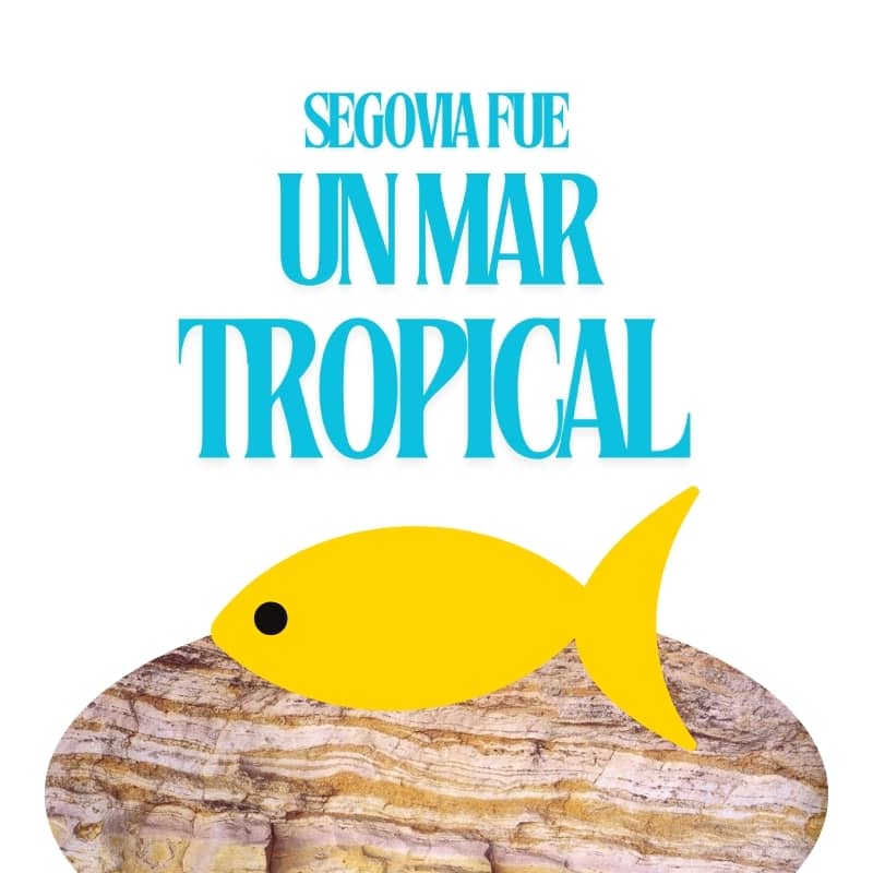 Domingos de cuento: Segovia fue un mar tropical 1